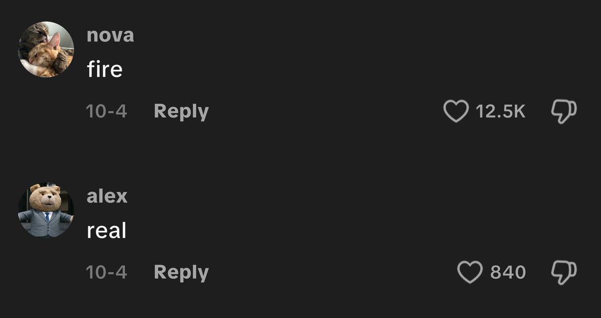 TikTok comment example