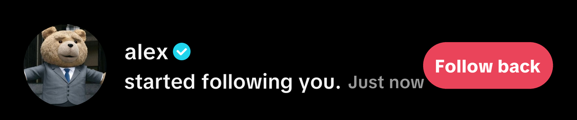 TikTok following example
